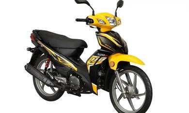SM Sport 110E