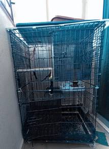 cat cage