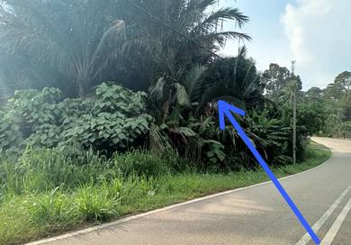 Agricultural Land in Segamat, JHR