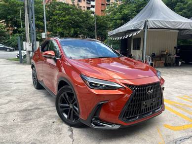 2023 Lexus NX 250 LUXURY