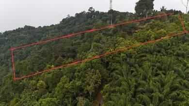 Agricultural Land in Kuala Pilah, NSN
