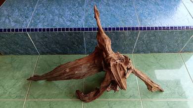 aquascape driftwood untuk akuarium 2.5kaki