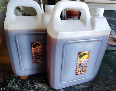 Madu kelulut