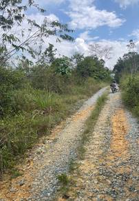 Agricultural Land in Bentong, PHG