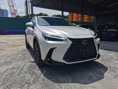 2022 Lexus NX 250 LUXURY