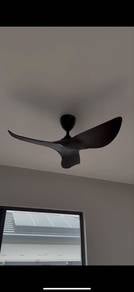 ALPHA VANNUS HARU 56 inch
