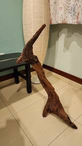 Driftwood Large