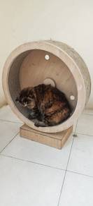 Cat Exercise Wheel / Cat Running Wheel