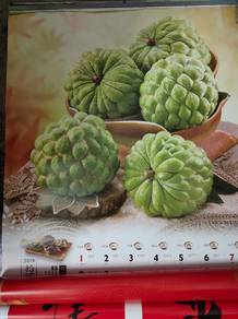 kalender buah-buahan