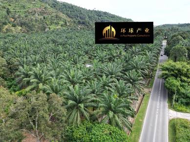 Agricultural Land in Bukit Mertajam, PNG