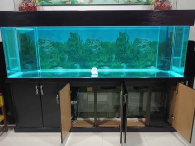 8 feet aquariumn