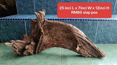 kayu aquascape hardscape driftwood