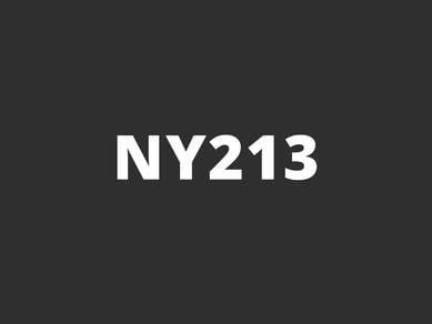 NY213