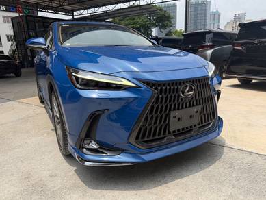 Lexus NX 250 LUXURY in Kayu Ara, SGR
