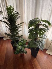 Indoor Plants (x3) Imitation