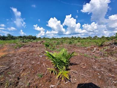 Agricultural Land in Ayer Baloi, JHR