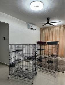 sangkar kucing