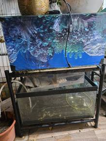 Fish tank with stand and glass filter