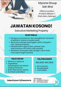 Executive Marketing Property