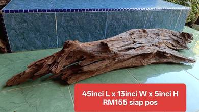 driftwood kayu besar hiasan kolam ikan