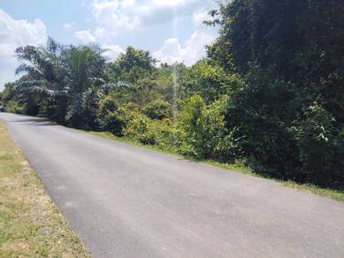 Agricultural Land in Batu Anam, JHR