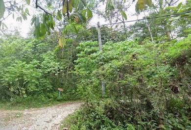 Agricultural Land in Bentong, PHG