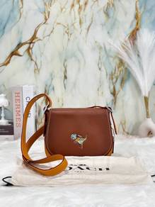 Coach Saddle 23