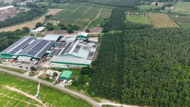 Agricultural Land in Pokok Sena, KDH