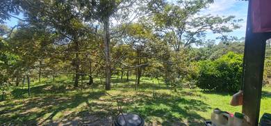 Agricultural Land in Sri Menanti, NSN
