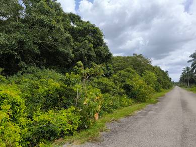 Agricultural Land in Kuala Linggi, MLK