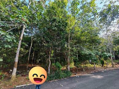 Agricultural Land in Sungai Petani, KDH