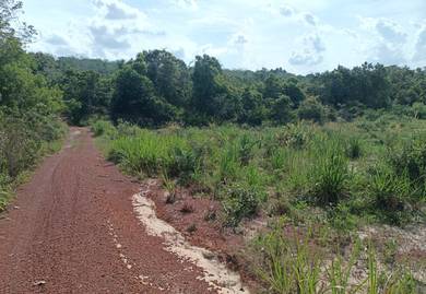 Agricultural Land in Segamat, JHR