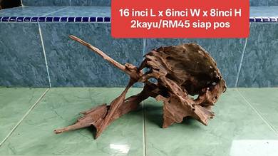 set 2pcs aquascape driftwood dtail ikut gambar