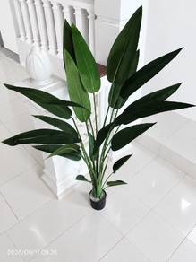 Pokok Skybird