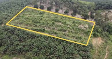 Agricultural Land in Kulai, JHR