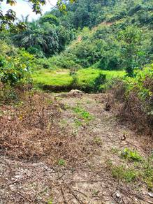 Agricultural Land in Kuala Pilah, NSN