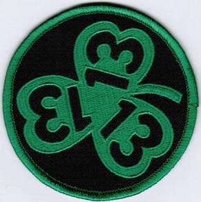 USAF 13th Sqn 13 Lucky Clover Air Force Army Patch