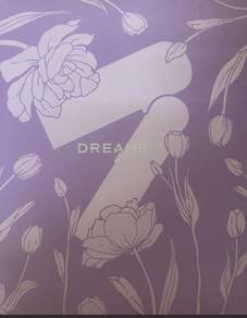 Dreame hair dryer