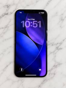 iPhone 12 Pro Max 256GB