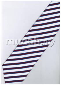 EPP10 Puple White Blue Striped Formal Neck Tie