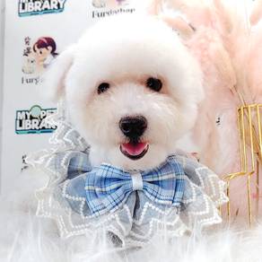 Poodle