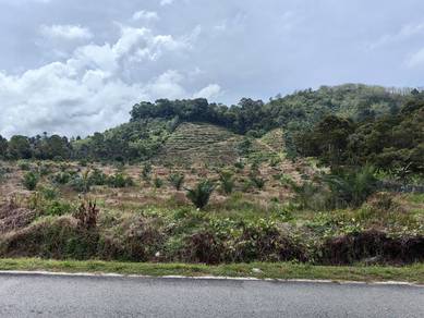 Agricultural Land in Jelebu, NSN