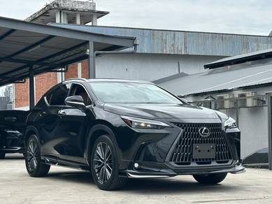 2023 Lexus NX 250 LUXURY