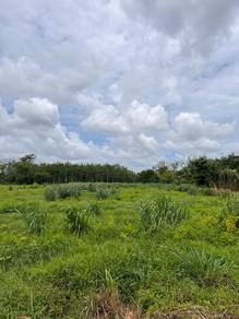 Agricultural Land in Pauh, PLS