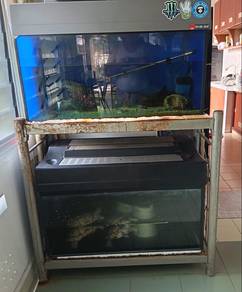 FISH 4 unit let go