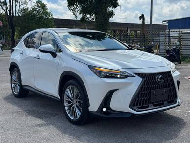 2023 Lexus NX 250 LUXURY