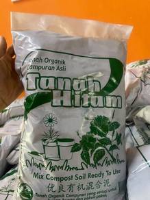 tanah hitam