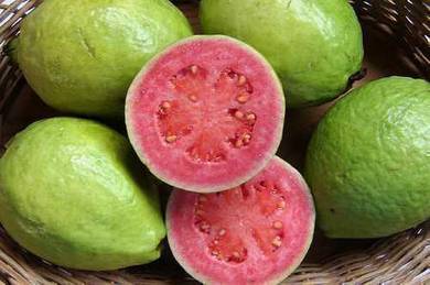 Pokok Jambu Isi Merah