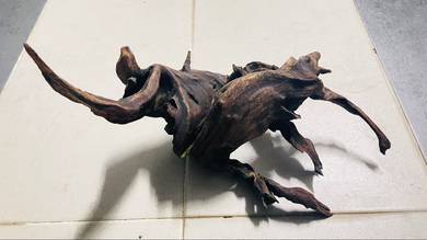 drift wood aquarium