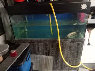 Aquarium